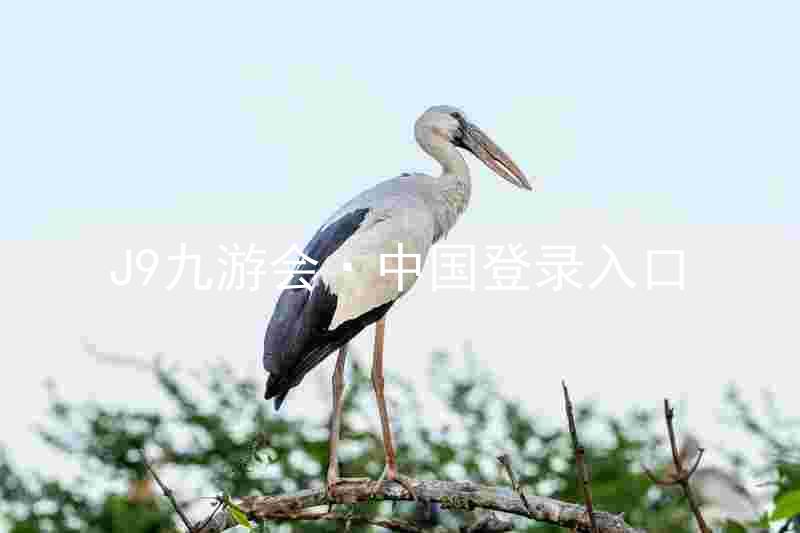 J9九游会·中国登录入口