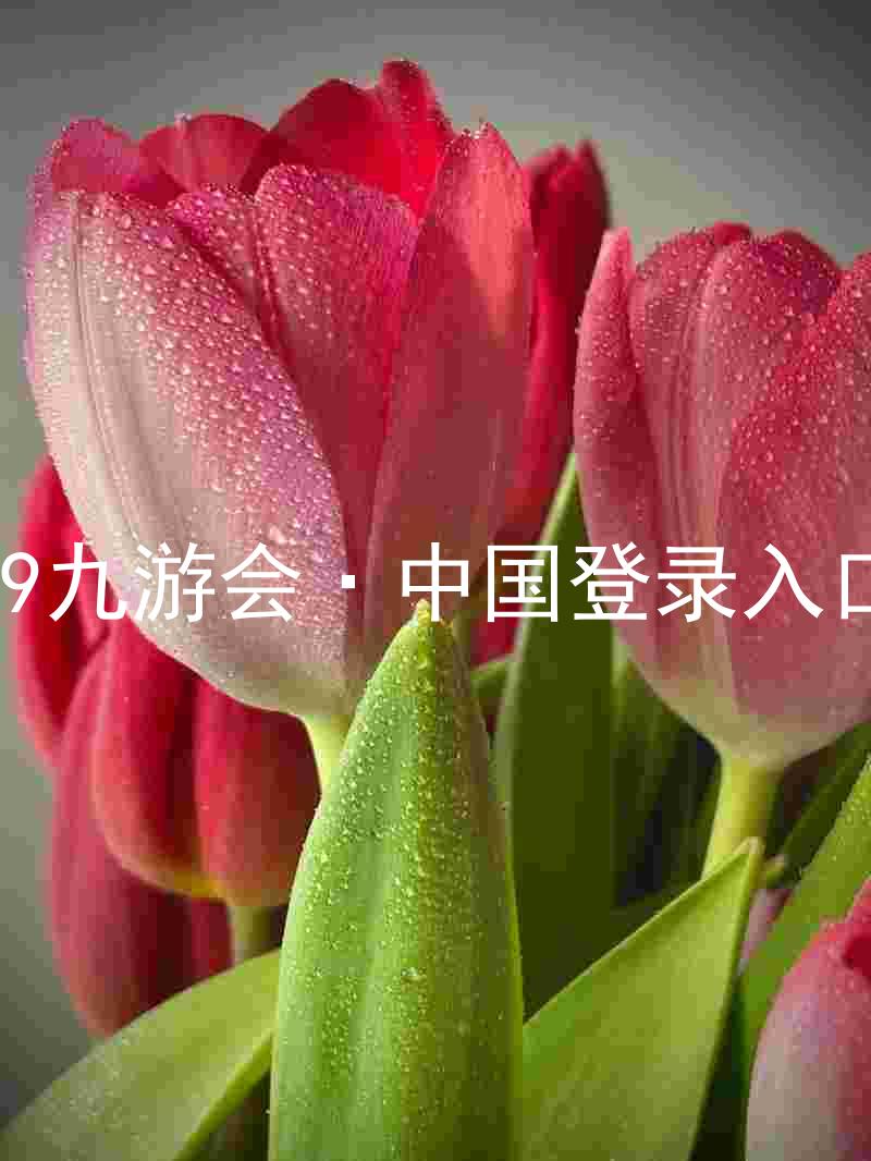 J9九游会·中国登录入口